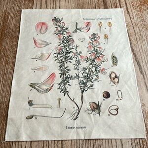 Botanical floral fabric textile art frameable